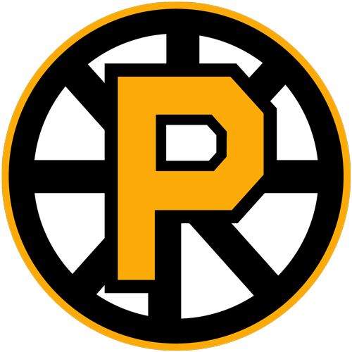 Providence Bruins logo