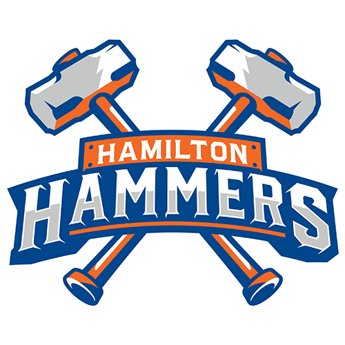 Hamilton Hammers logo