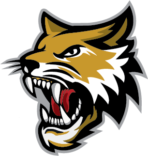 Vermilion County Bobcats logo