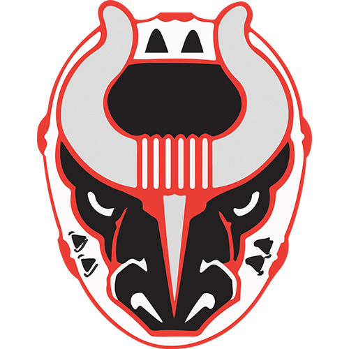 Birmingham Bulls logo