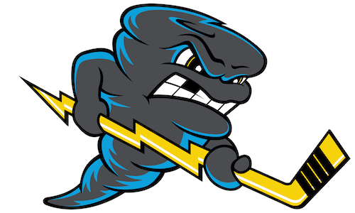 Quad City Storm logo